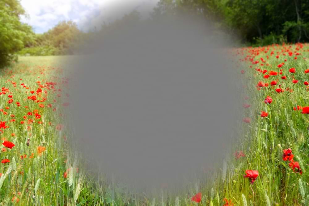 wet amd treatment